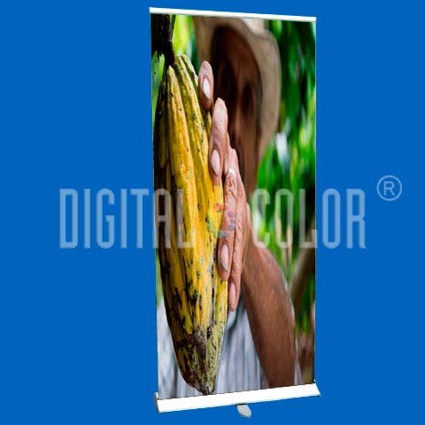 Roll Up Gray 0.85x2 mts Retráctil-Easy Pull Banner Stand 10